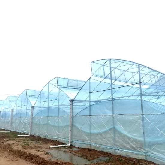 Film per serra in plastica per coltura idroponica multi-span utilizzato in serre agricole con sistema di raffreddamento/riscaldamento (elettrico) Ventilatore per polli da carne